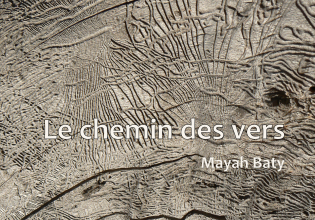 Le chemin des vers