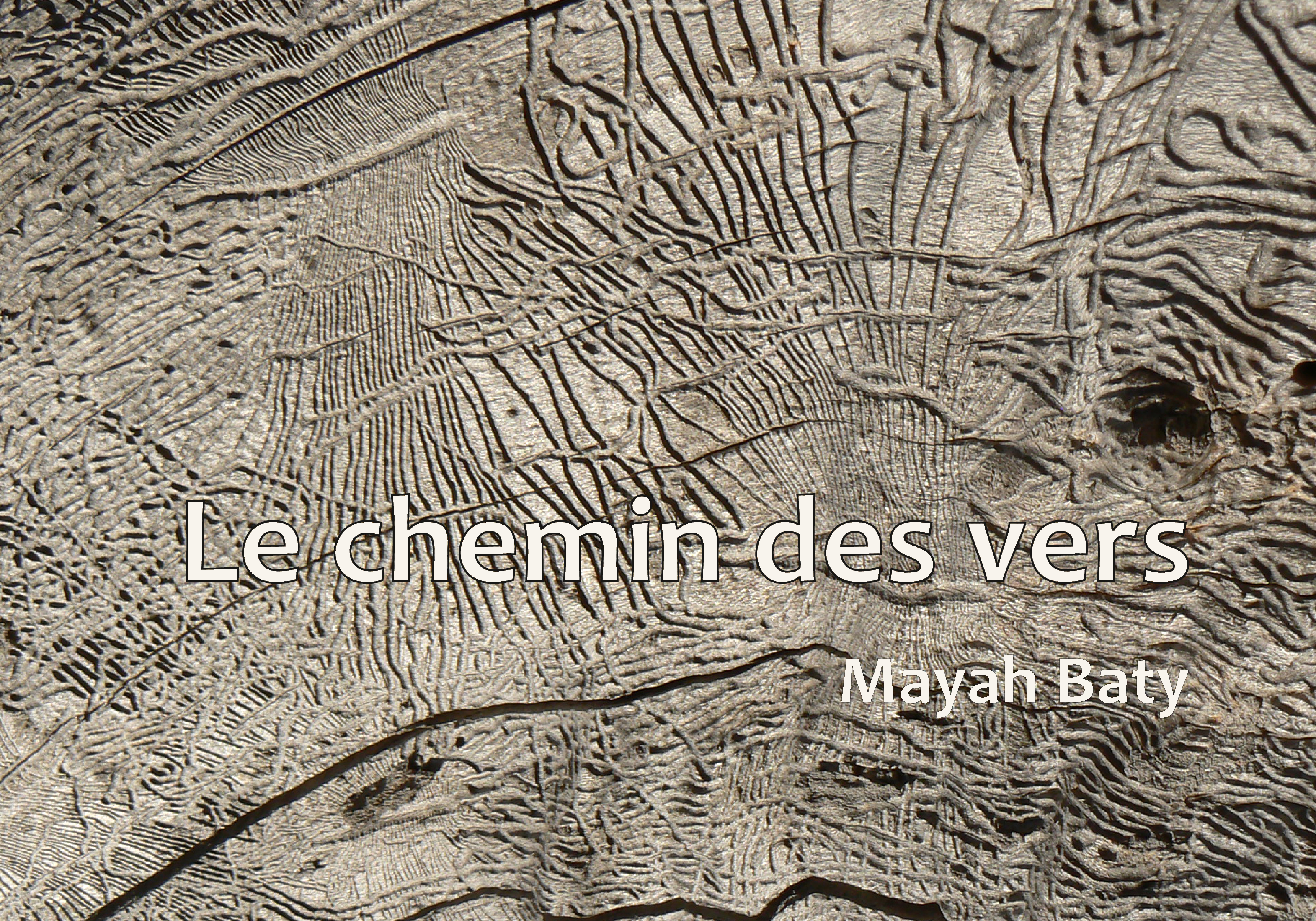 Le chemin des vers