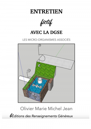 Entretien fictif avec la DGSE