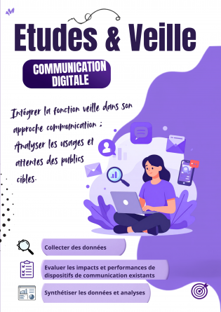 Marketing Digital : Veille & Etudes