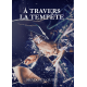 A Travers la Tempête