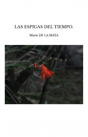 LAS ESPIGAS DEL TIEMPO.