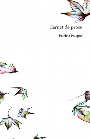 Carnet de prose 