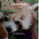 Sauvages 2