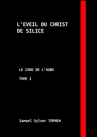 L'EVEIL DU CHRIST DE SILICE