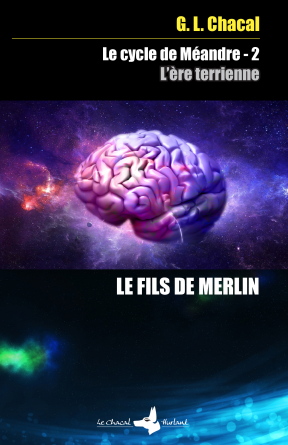 LE FILS DE MERLIN