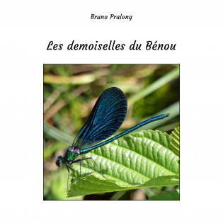 Les demoiselles du Bénou