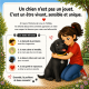 Que faire si un chien m'approche ?