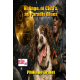 Ni Ange, ni Cleb's, au Paradis Blues