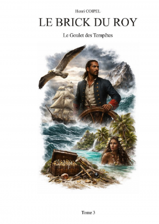 Le Brick du Roy- Le Goulet des Tempête