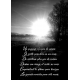Les confessions froides