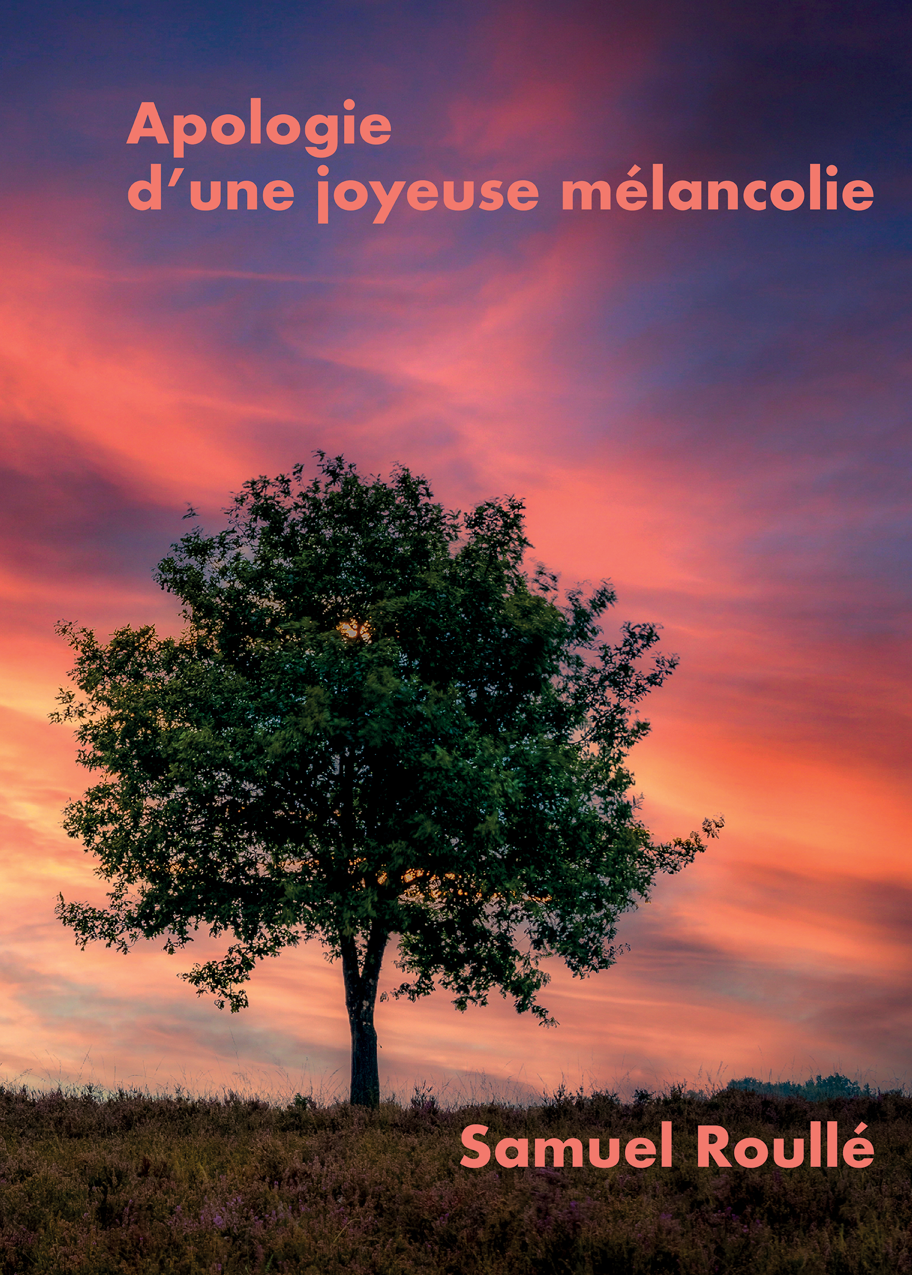 Apologie d'une joyeuse mélancolie