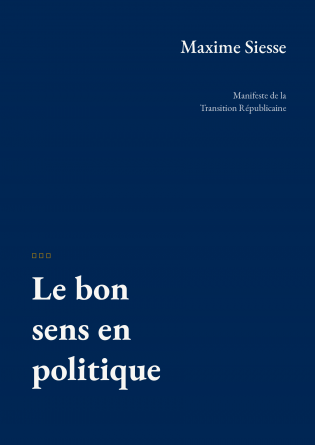 Le bon sens en politique