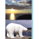 Les pays du Grand Nord