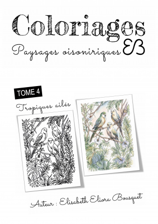 PAYSAGES OISONIRIQUES - 4