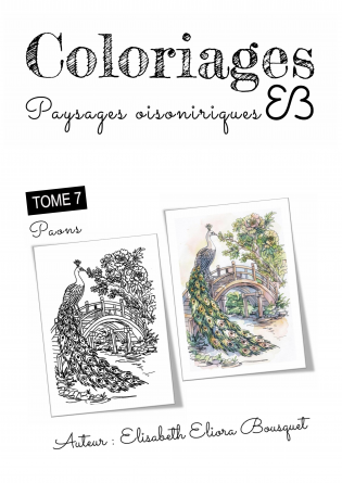 PAYSAGES OISONIRIQUES - 7
