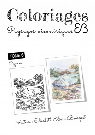 PAYSAGES OISONIRIQUES - 6