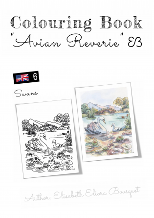AVIAN REVERIE - 6
