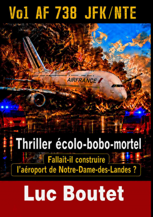 Vol AF 738 - JFK/NTE
