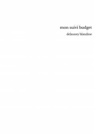 mon suivi budget
