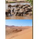 Les terres d’Afrique 