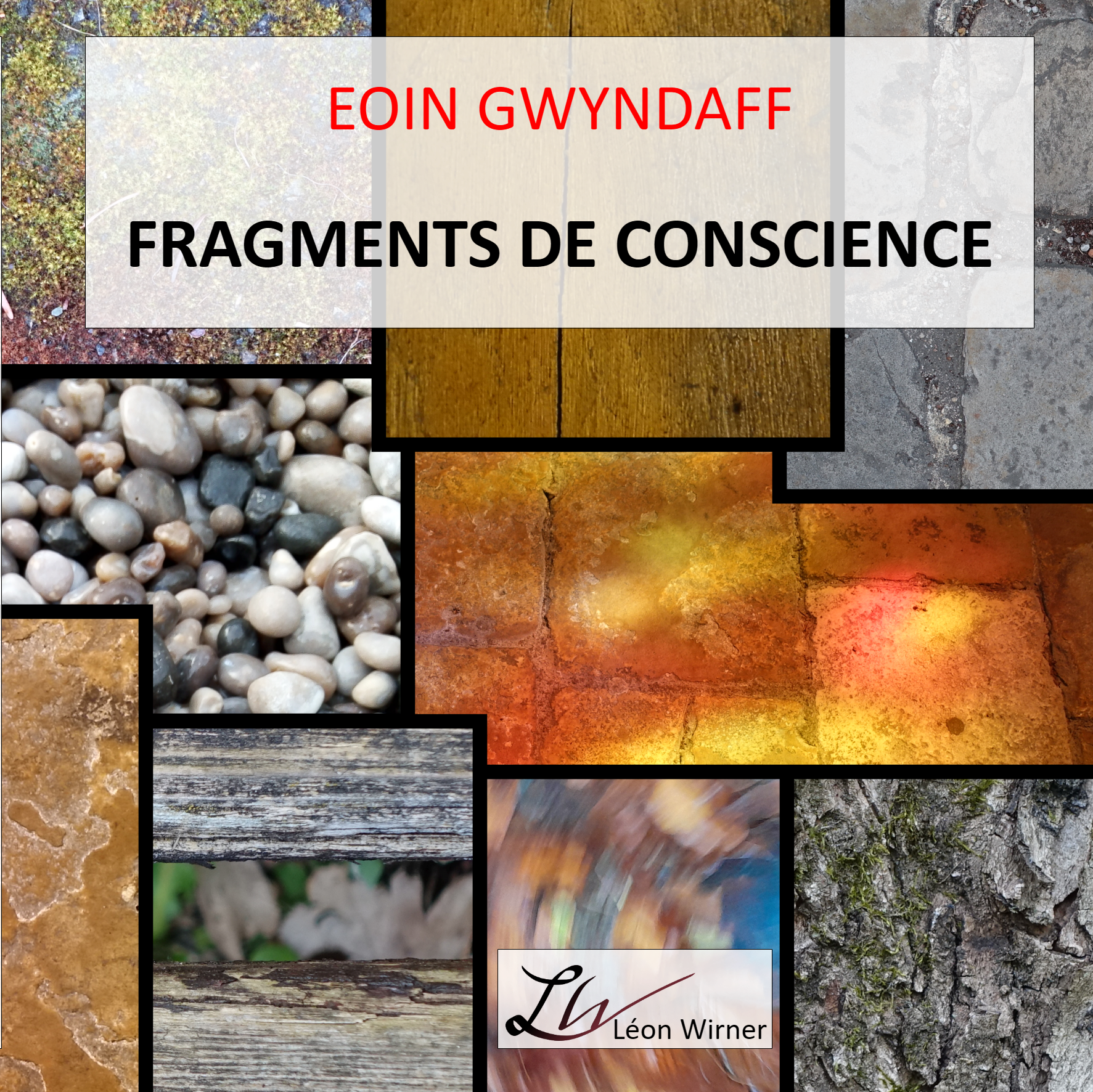 Fragments de conscience