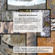 Fragments de conscience