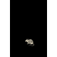 Micro-métrage