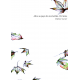 Alice au pays des merveilles, OI, 5ème