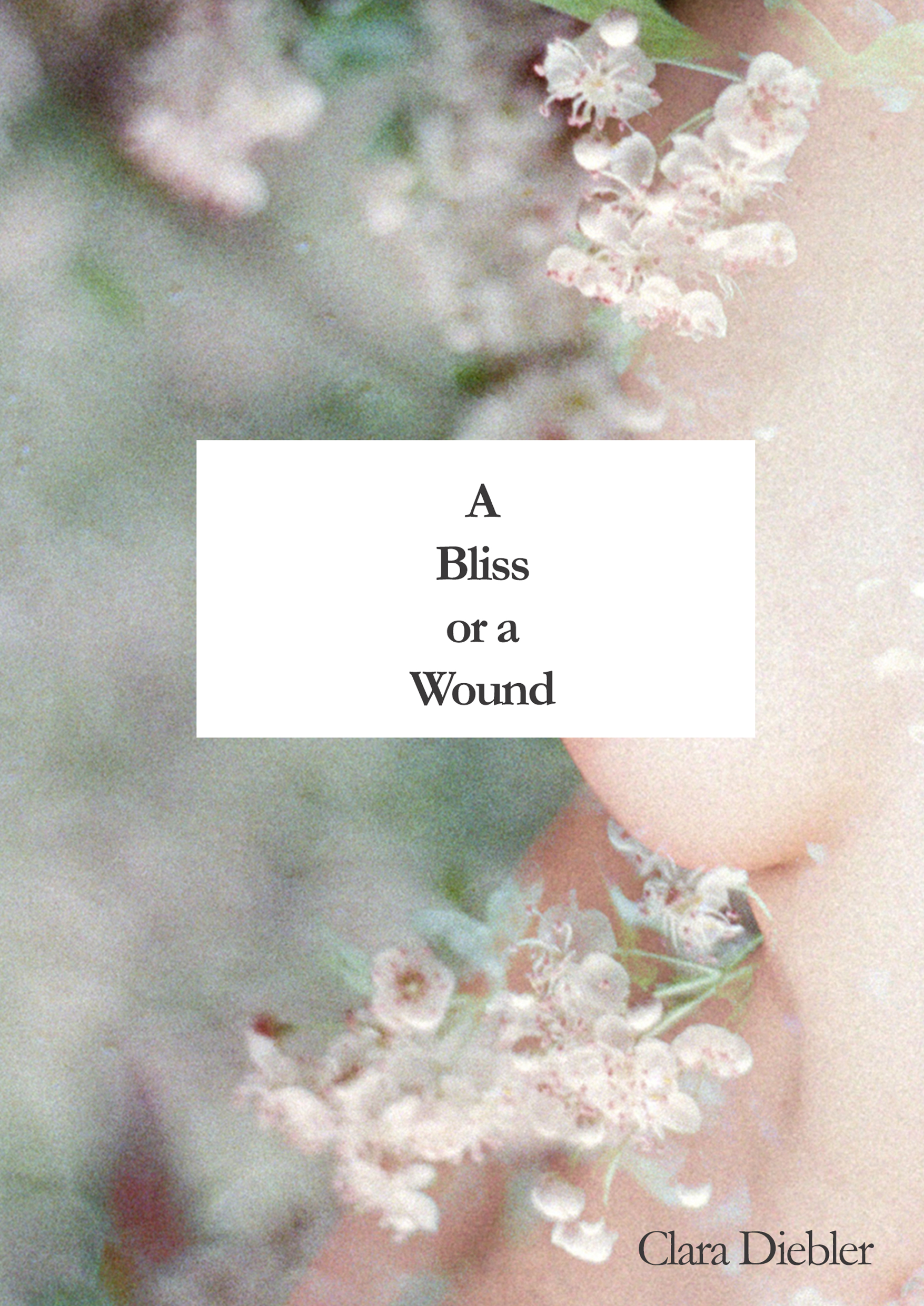 A Bliss or a Wound