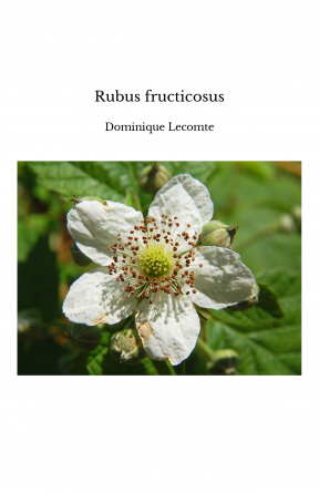 Rubus fructicosus