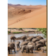 Les terres d’Afrique 