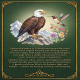 World Birds 