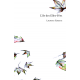 L'île des Elles-Fées