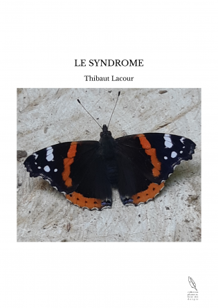 LE SYNDROME