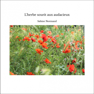 L'herbe sourit aux audacieux