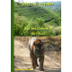 Sur les chemins de l’Asie