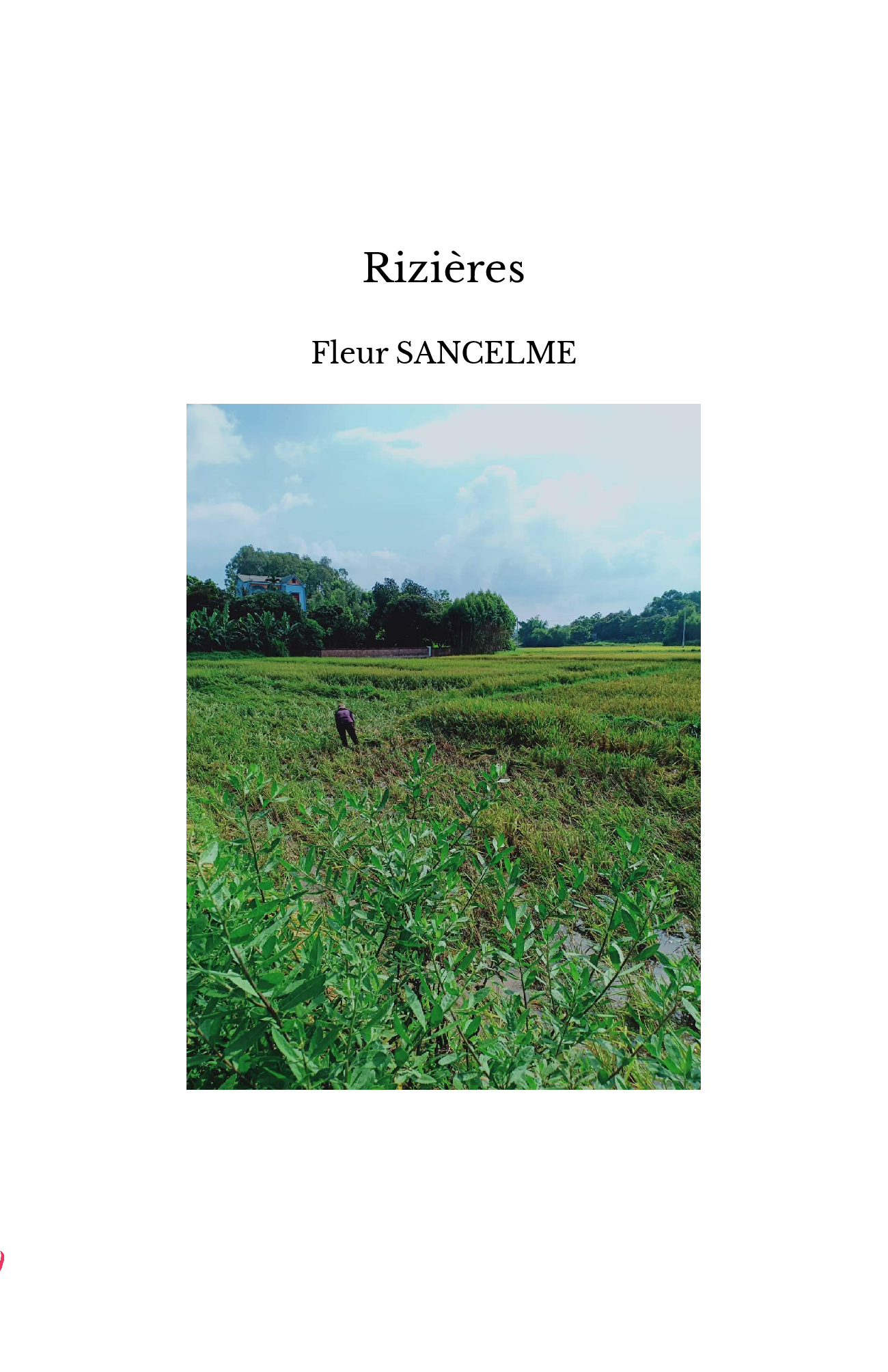 Rizières