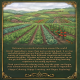 World Vegetables