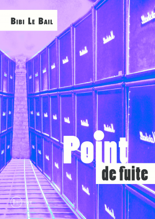 Point de fuite