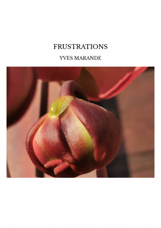 FRUSTRATIONS