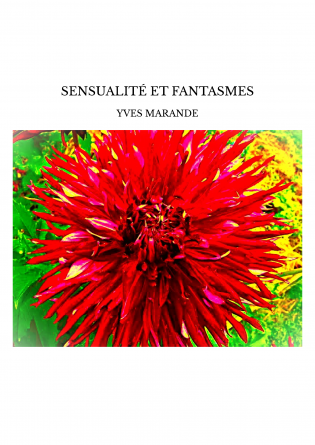 SENSUALITÉ ET FANTASMES