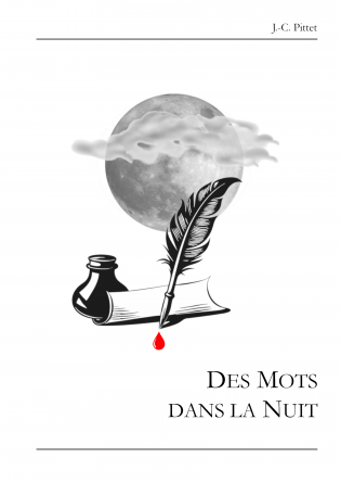 Des Mots dans la Nuit