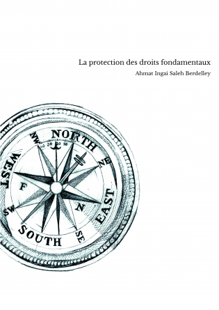 La protection des droits fondamentaux