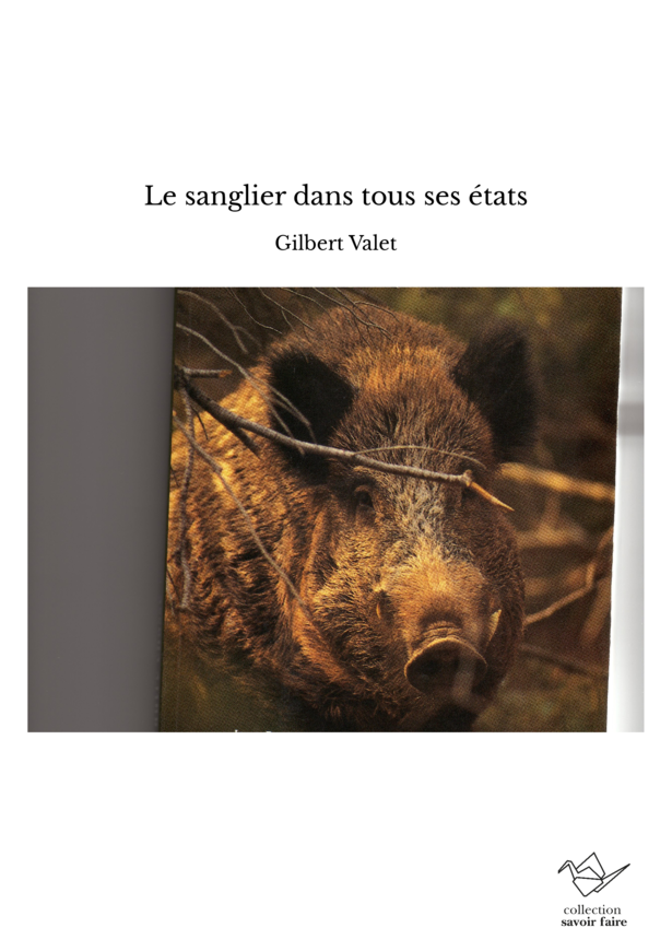 Fiches animaux - Le sanglier