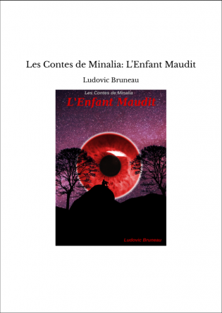 Les Contes de Minalia: L'Enfant Maudit