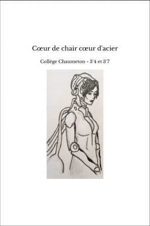 Cœur de chair cœur d'acier