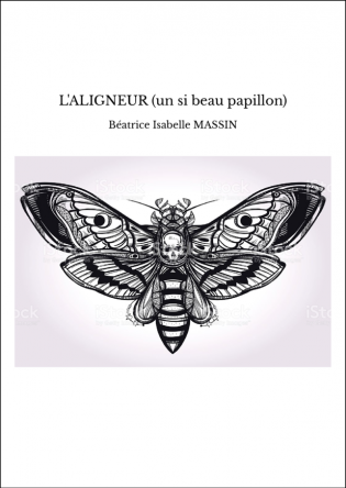 L'ALIGNEUR (un si beau papillon)