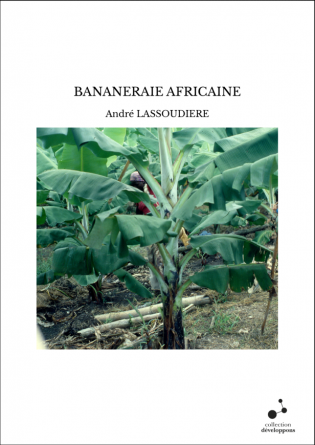 BANANERAIE AFRICAINE