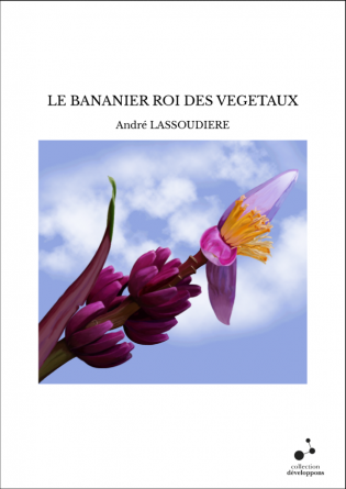 LE BANANIER ROI DES VEGETAUX